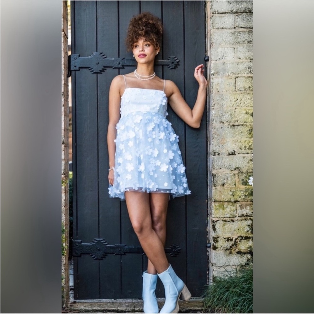 Altar'd State Aurora Floral Mesh Babydoll Dress
